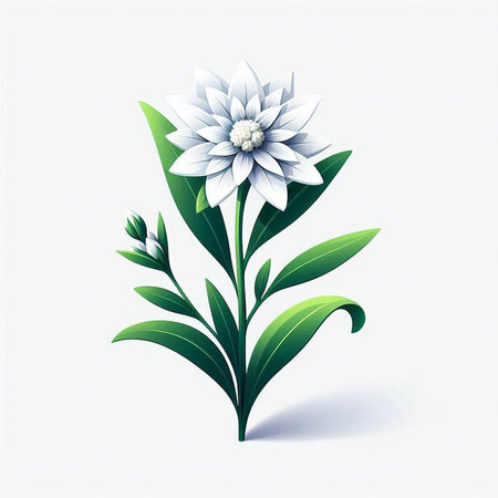 White flower with green leaves on a white background. Vector illustration.のイラスト素材