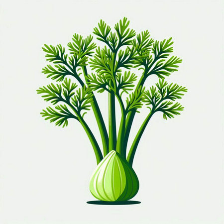 Illustration of a bunch of fresh green dill on a white backgroundのイラスト素材