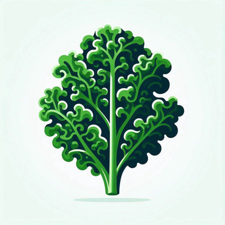 Lettuce icon, vector illustration. Isolated on white background.のイラスト素材