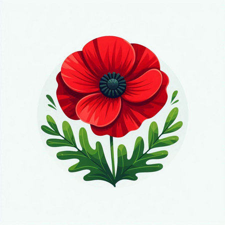 Red poppies and green leaves on a white background. Vector illustration.のイラスト素材