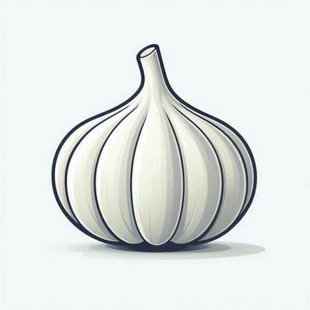 Illustration of a Garlic isolated on a white background - vectorのイラスト素材