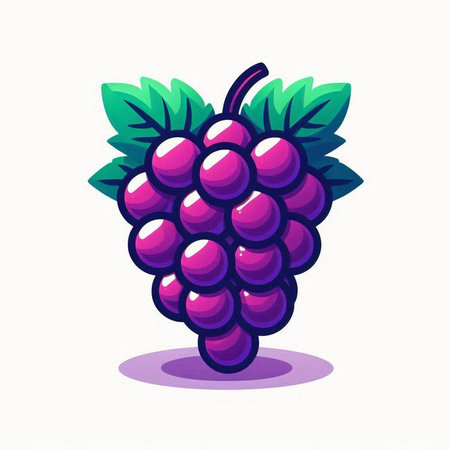 Grape fruit vector illustration. Isolated on white background. Vector illustration.のイラスト素材