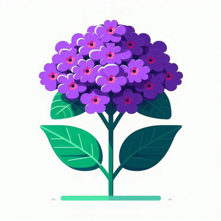 Purple flowers isolated on white background. Vector illustration. Flat style.のイラスト素材