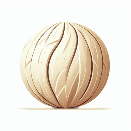 Illustration of a coconut shell on a white background, vector illustrationのイラスト素材
