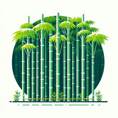 Bamboo forest background with green leaves and plants. Vector illustration.のイラスト素材