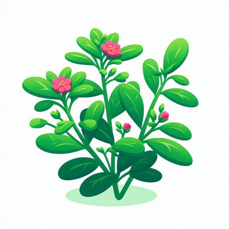 Green leaves with pink flowers isolated on white background. Vector illustration.のイラスト素材