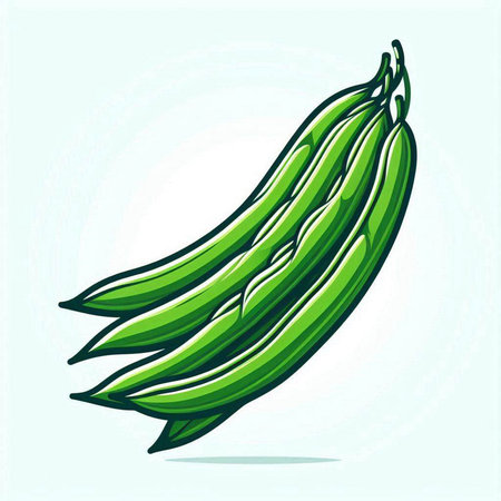 Fresh green beans on a light blue background. Vector illustration of a vegetable.のイラスト素材