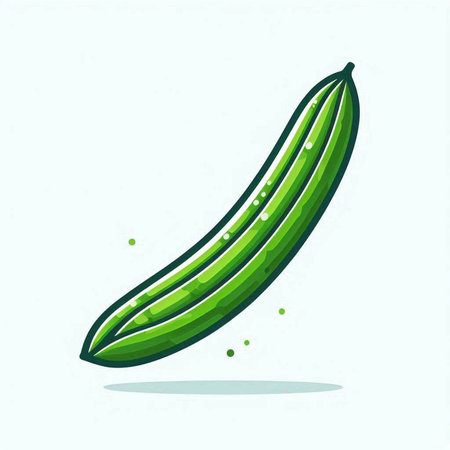 Cucumber vector illustration. Cucumber icon isolated on white background.のイラスト素材