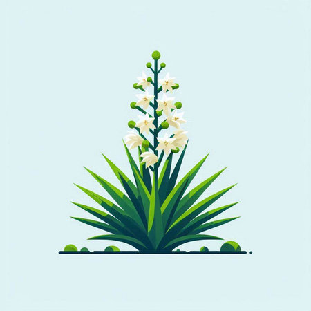 Flowering yucca plant isolated on blue background. Vector illustration.のイラスト素材