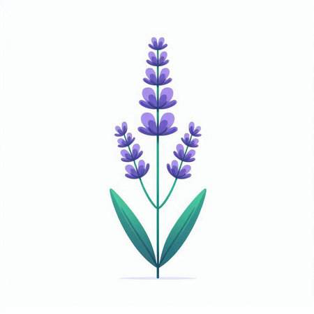 Lavender flower isolated on white background. Vector illustration in flat style.のイラスト素材