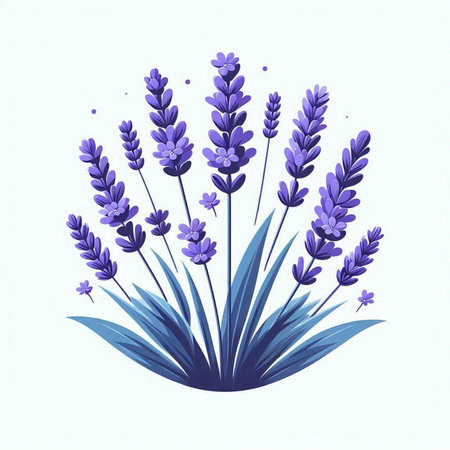 Lavender flowers. Vector illustration of a lavender bouquet.のイラスト素材