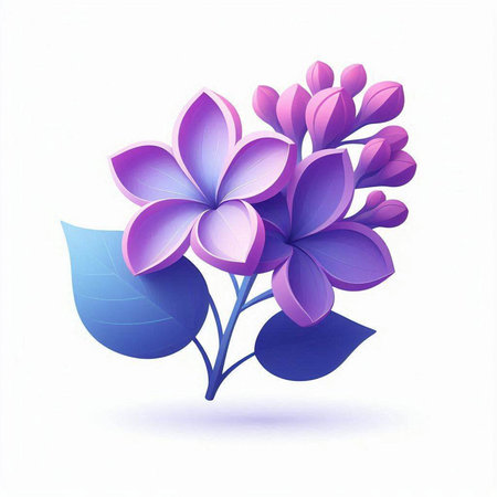 Purple lilac flowers on a white background. Vector illustration.のイラスト素材