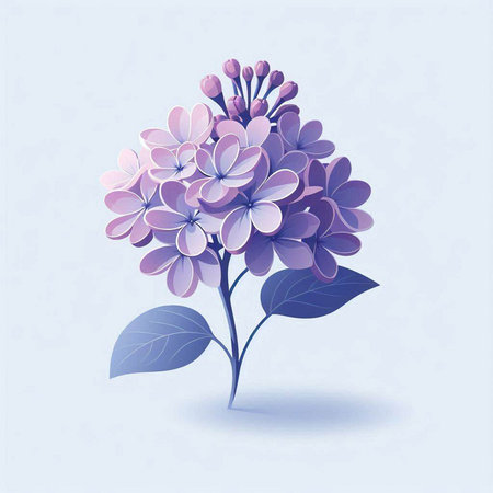 Illustration of purple hydrangea flowers on a blue backgroundのイラスト素材