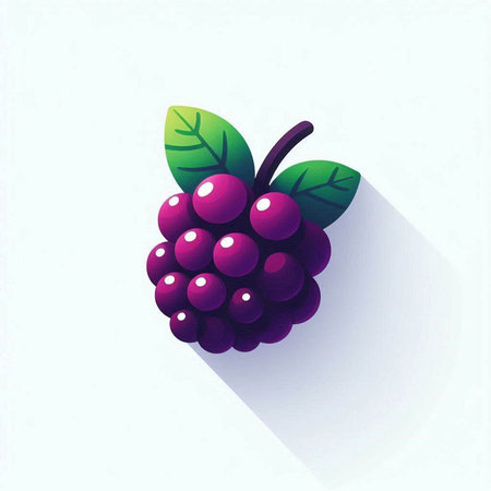Ripe blackberry with long shadow on white background. Vector illustration.のイラスト素材