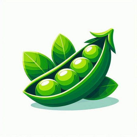Green peas with leaves isolated on a white background. Vector illustration.のイラスト素材