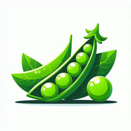 Green peas with leaves isolated on white background. Vector illustration. Eps 10.のイラスト素材