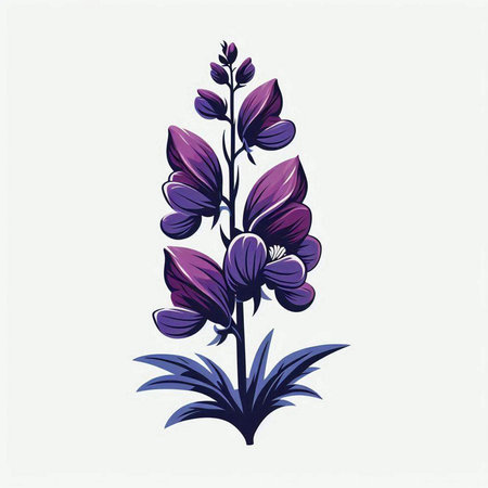 Violet lupine flowers on white background. Vector illustration.のイラスト素材