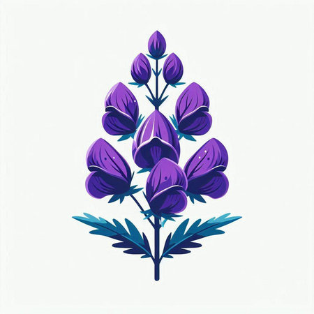Purple lupine flower on white background. Vector illustration.のイラスト素材