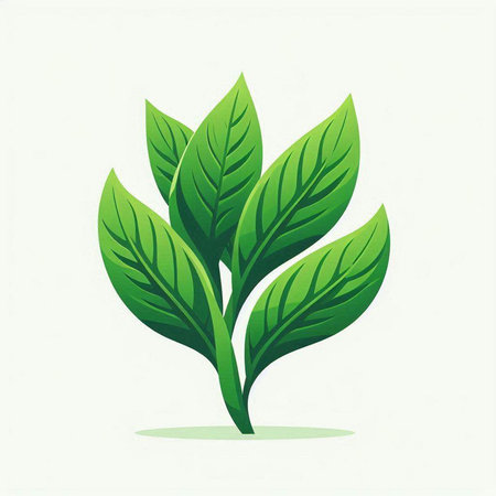 Green tea leaves on white background. Vector illustration. Eps 10.のイラスト素材