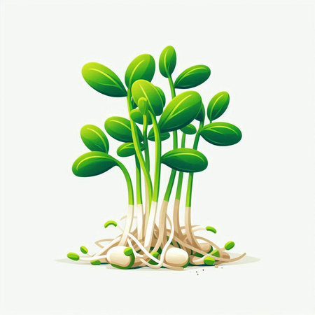 Sprouts of soybean on a white background. Vector illustration.のイラスト素材
