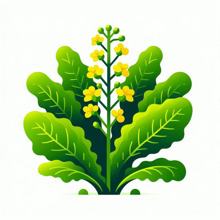 Vector illustration of a yellow flower with green leaves on a white backgroundのイラスト素材