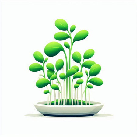 Green seedlings in a pot isolated on white background. Vector illustration.のイラスト素材
