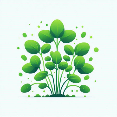 Green sprouts with drops on a white background. Vector illustration.のイラスト素材