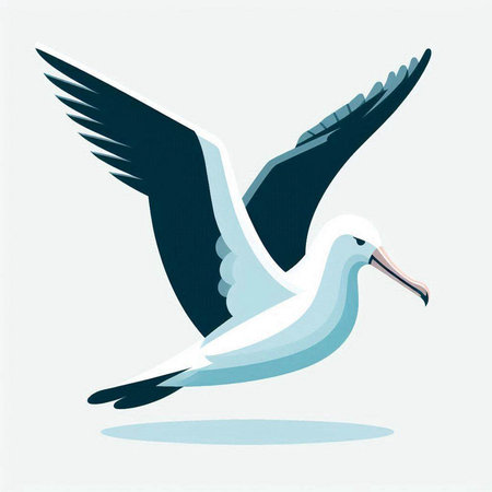 Vector illustration of a flying seagull on a white background.のイラスト素材