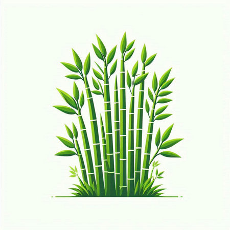 bamboo with green leaves isolated on white background. vector illustration.のイラスト素材