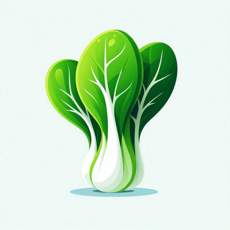 Bok choy vector illustration, fresh green bok choyのイラスト素材