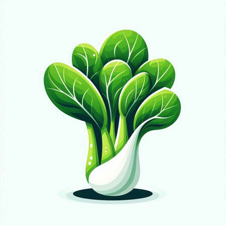 Vegetable icon. Vector illustration of fresh bok choy.のイラスト素材