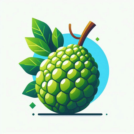 Custard apple fruit vector illustration. Juicy green fruit with leaves.のイラスト素材