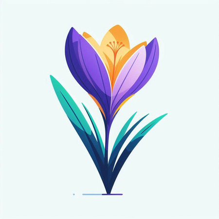 Vector illustration of crocus flower in flat style isolated on white background.のイラスト素材