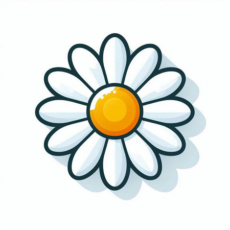 Daisy flower icon. Isolated on white background. Vector illustration.のイラスト素材