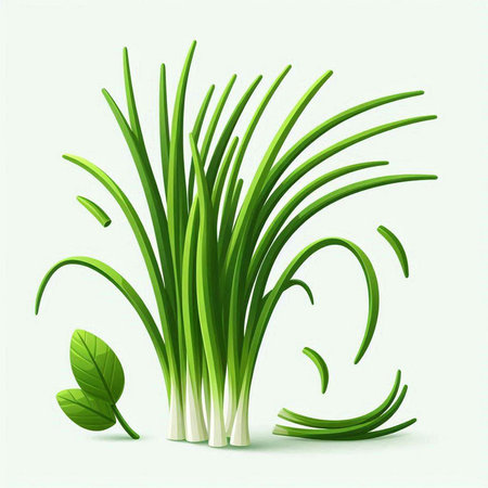 Green onion with leaves isolated on white background. Vector realistic illustration.のイラスト素材