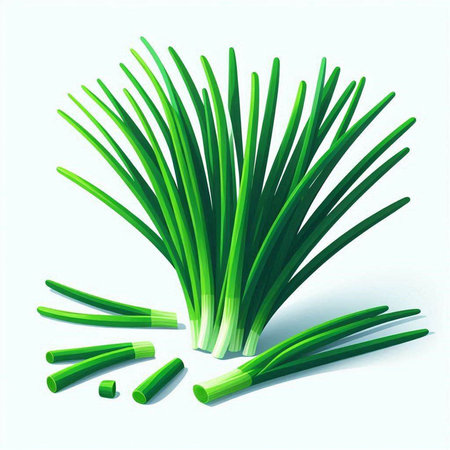 Vector illustration of a bunch of fresh green onion on a white backgroundのイラスト素材