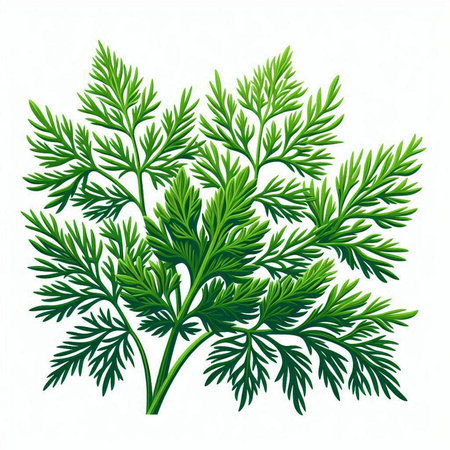 Sandwich with ham, cheese, tomato and cucumber. Vector illustration.のイラスト素材