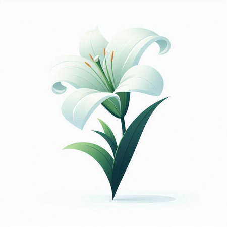 Beautiful lily on a white background. Vector illustration for your designのイラスト素材