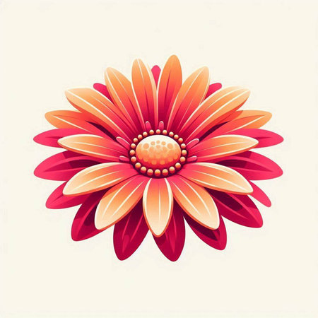 red daisy on white background, vector illustration, eps10のイラスト素材