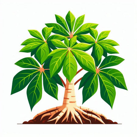 Palm tree with roots isolated on white background. Vector illustration.のイラスト素材