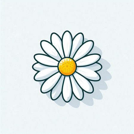 Chamomile flower on the white background. Vector illustration.のイラスト素材