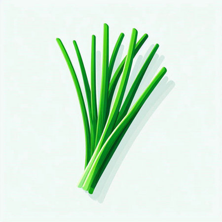 Green onion isolated on white background. Vector illustration. Eps 10.のイラスト素材