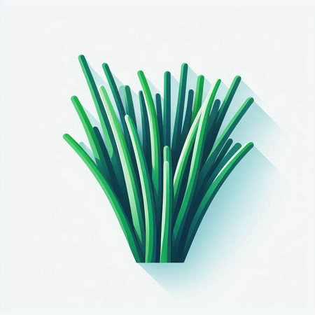 Vector illustration of a bunch of fresh green onions on a white backgroundのイラスト素材