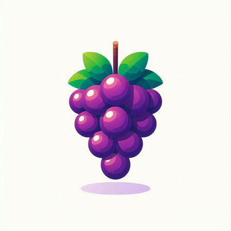 Grapes on a white background. Vector illustration of grapes.のイラスト素材