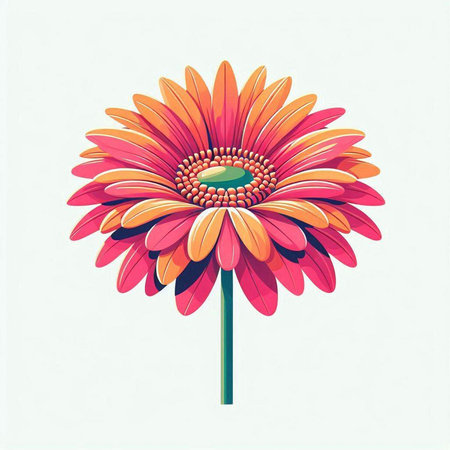Illustration of a gerbera flower on a white background.のイラスト素材