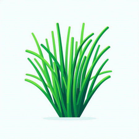 Vector illustration of green grass isolated on white background. Flat design.のイラスト素材