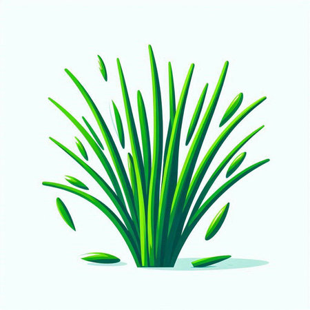 Green grass isolated on white background. Vector illustration. Eps 10.のイラスト素材