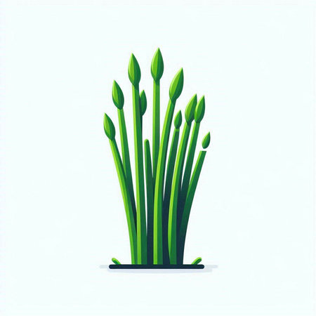 Illustration of a green grass on a white background, vector illustrationのイラスト素材