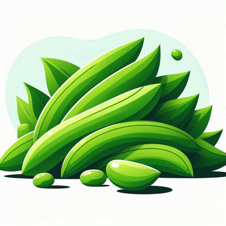 Illustration of a fresh green soybeans on a white background.のイラスト素材