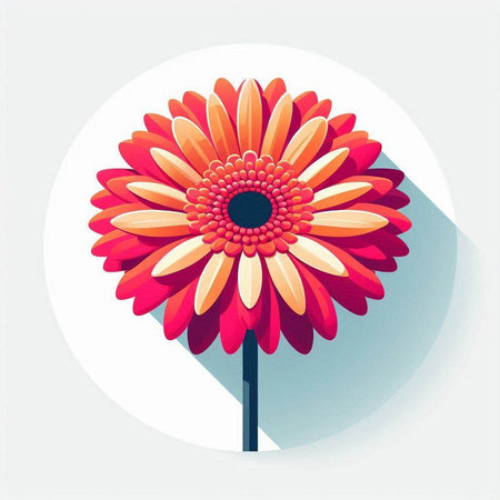Red gerbera flower on white background. Vector illustration in flat styleのイラスト素材